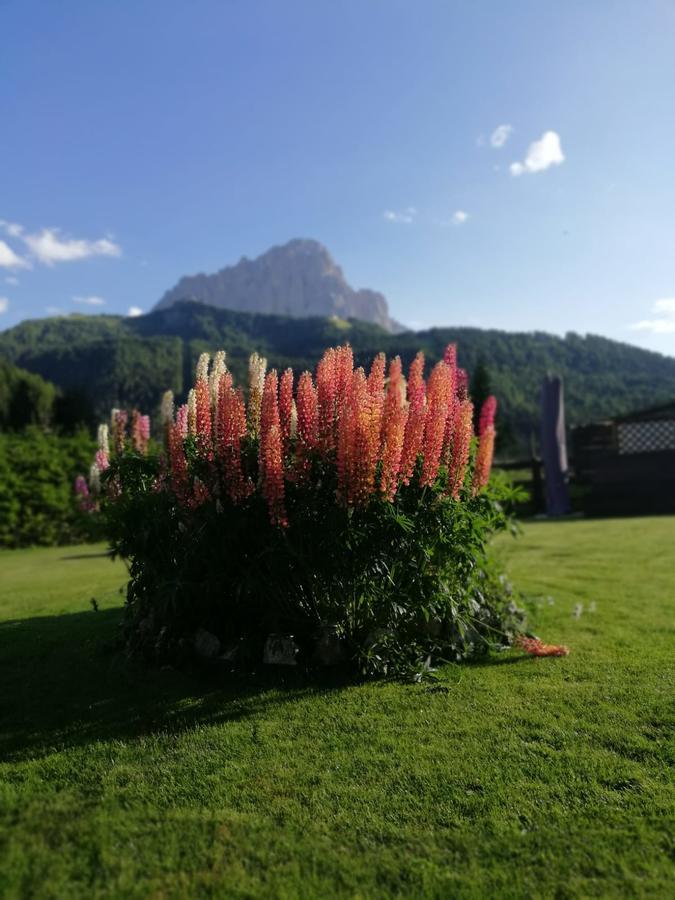 Apartament Cedepuent De Sot Selva di Val Gardena Zewnętrze zdjęcie