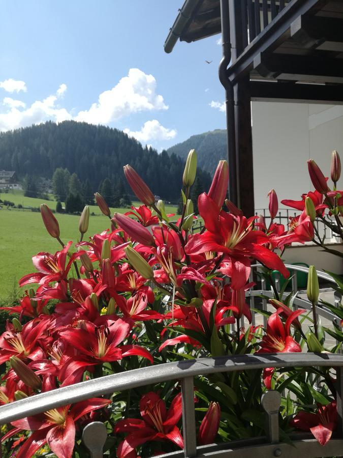 Apartament Cedepuent De Sot Selva di Val Gardena Zewnętrze zdjęcie